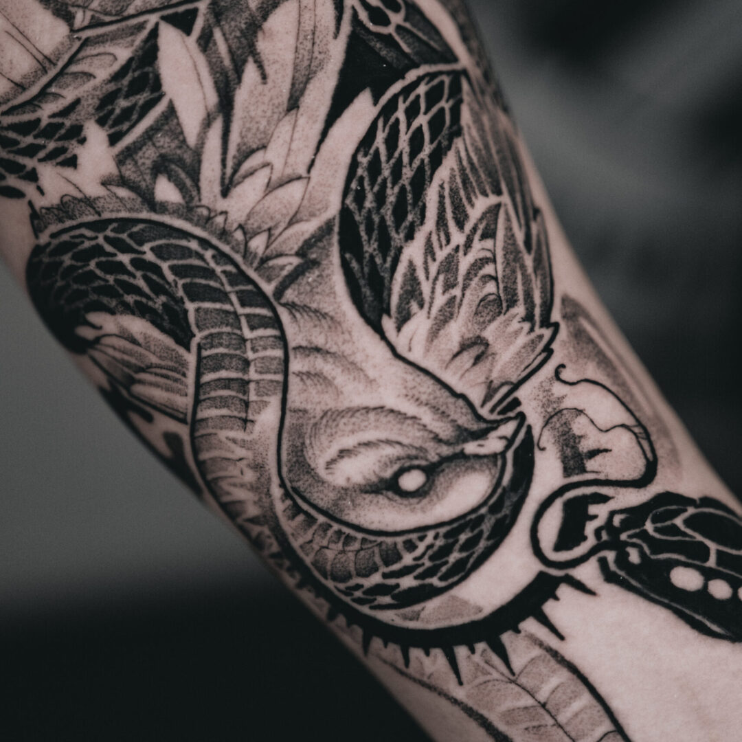 bird snake 3